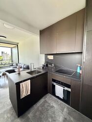 Hyll On Holland (D10), Condominium #547290261